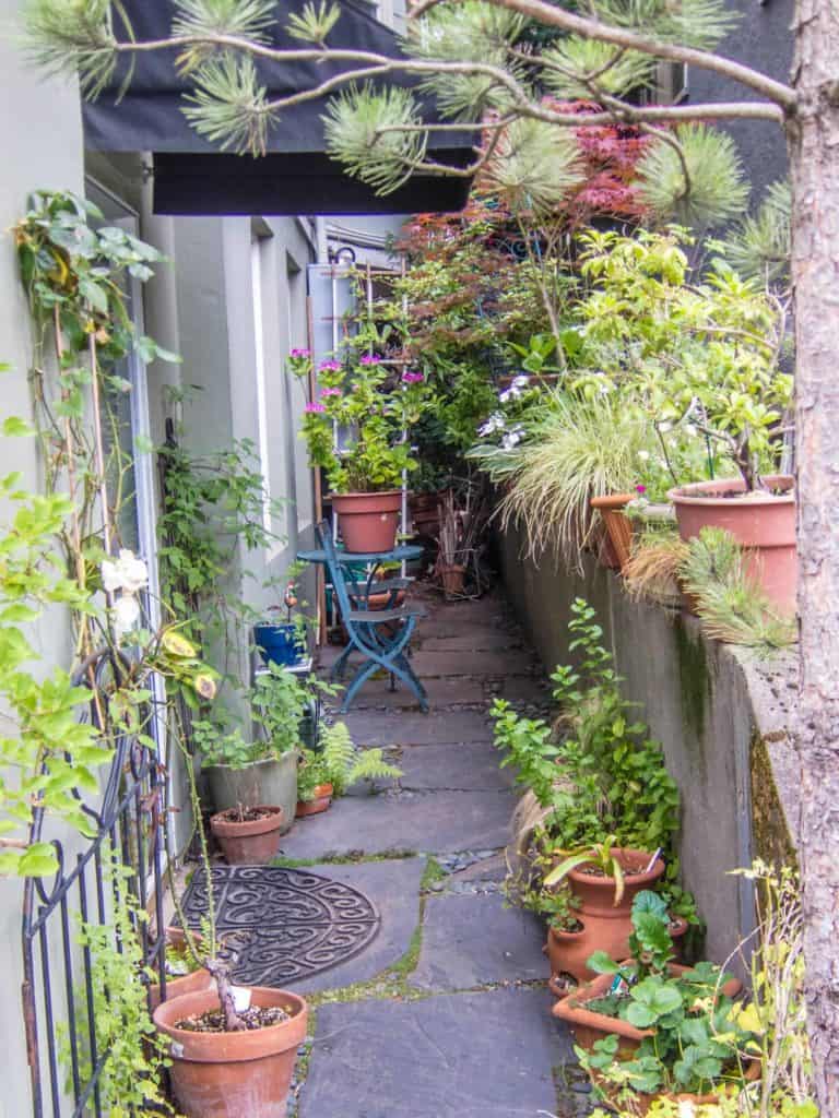 Hidden garden in the city