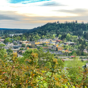 View from White Oak Savannah to Old Town Willamette