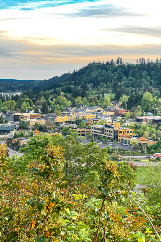 View from White Oak Savannah to Old Town Willamette