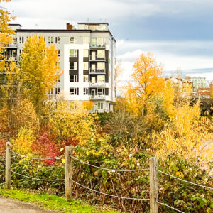 South Willamette Waterfront