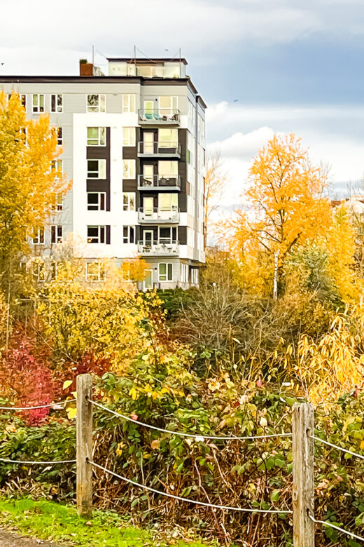 South Willamette Waterfront