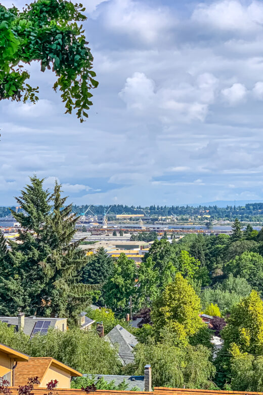 Willamette Heights View Ridge