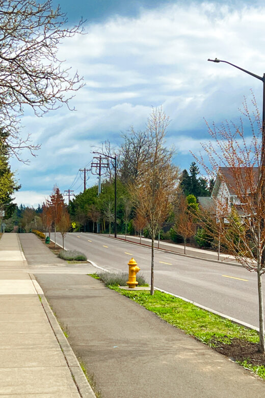 Parker Crest Jaunt: Rosemont Road