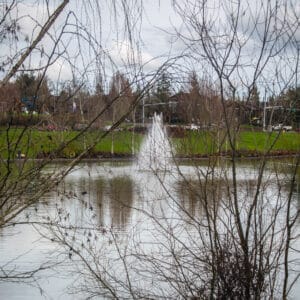 Murrayhill Pond