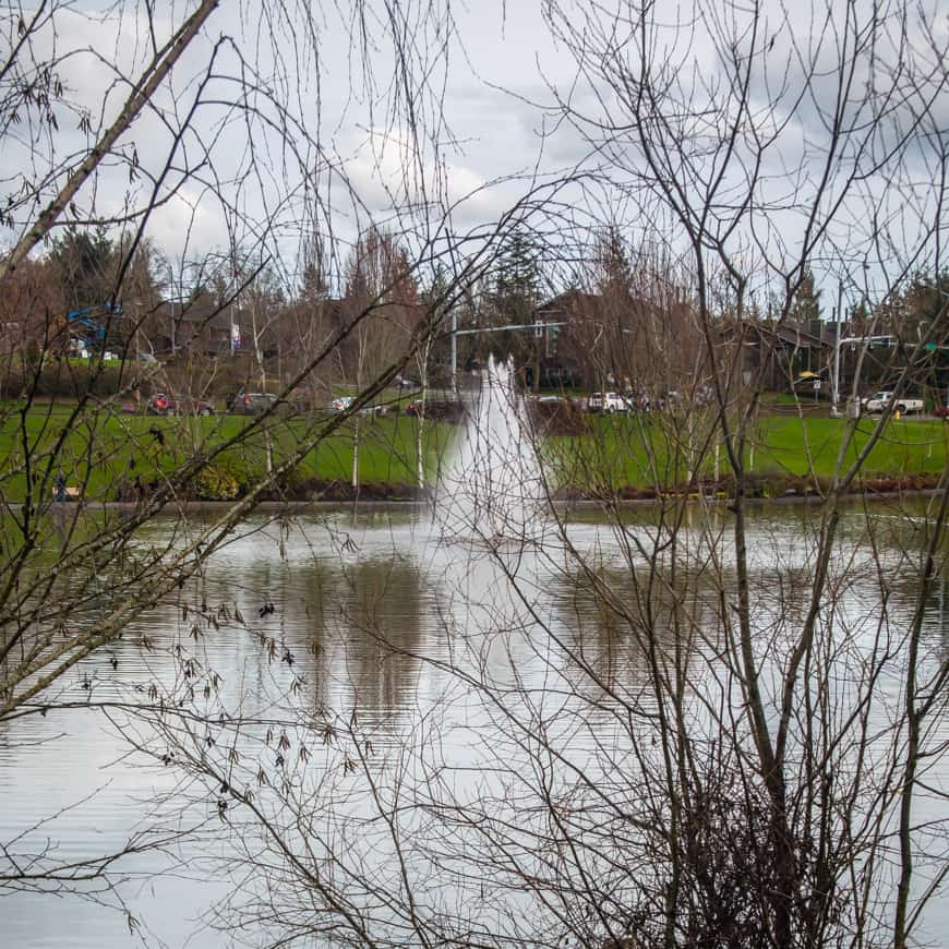 Walking Beaverton: Murray Lake
| SkyBlue Portland