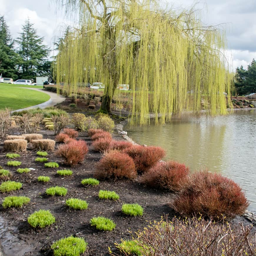 Walking Beaverton: Murray Lake | SkyBlue Portland