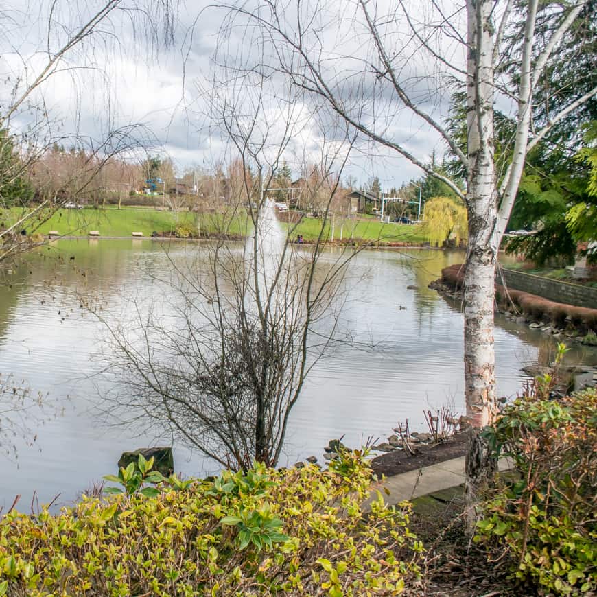 Walking Beaverton: Murray Lake
| SkyBlue Portland