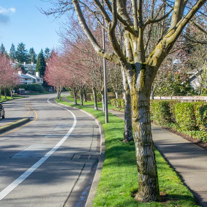 Walking Beaverton: Neighbors Southwest | SkyBlue Portland