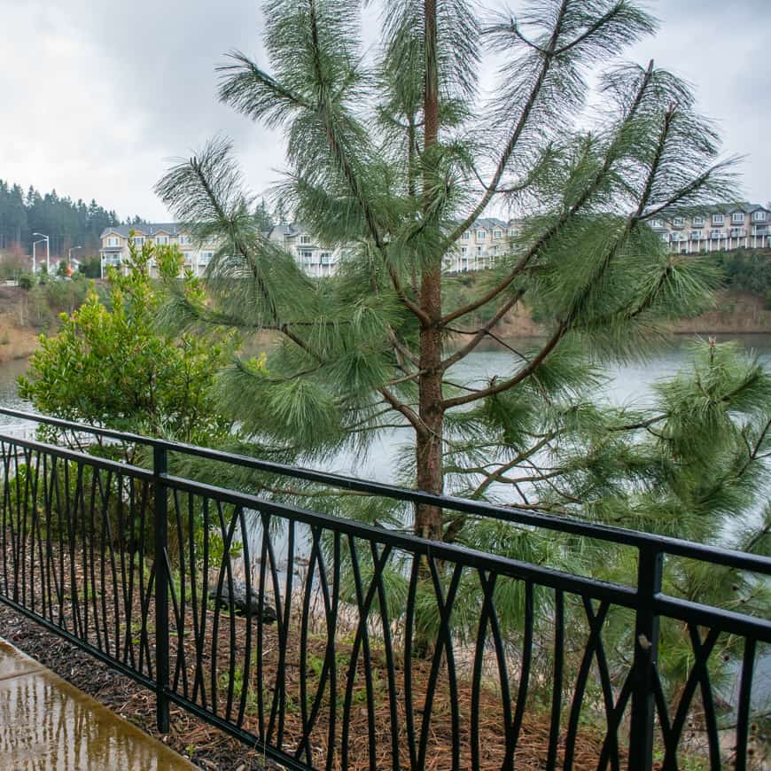 Walking Beaverton: Progress Lake | SkyBlue Portland
