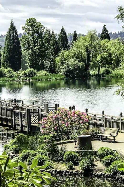 Crystal Springs Rhododendron Garden