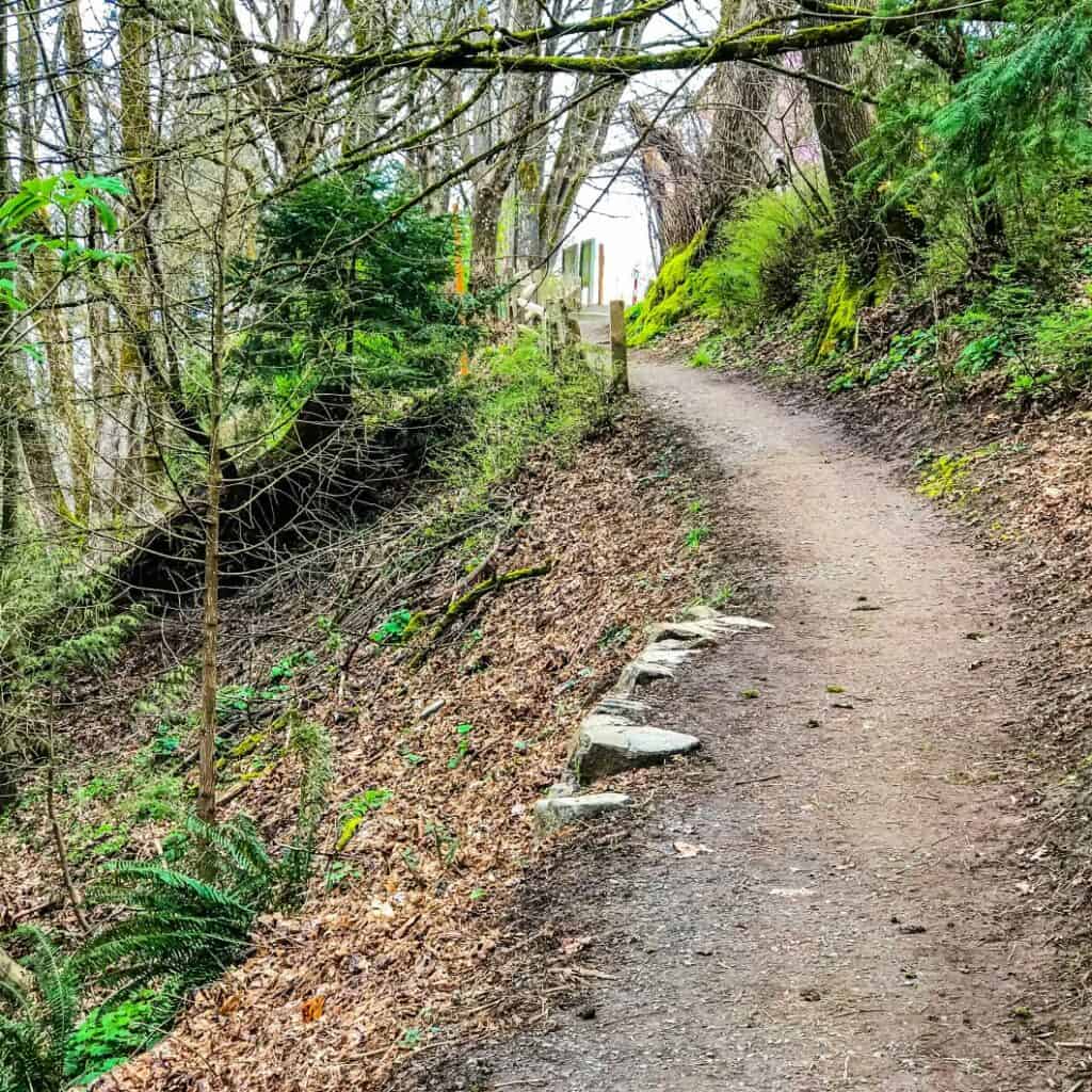 Entrance trail at Oaks Bottom Wildlife efuge