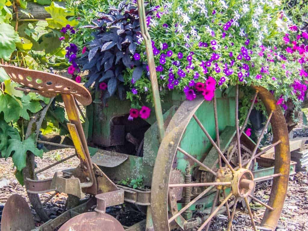 Hauntingly Beautiful Sauvie Island: 10 Reasons We Love It | SkyBlue Portland Flower display on Sauvie Island