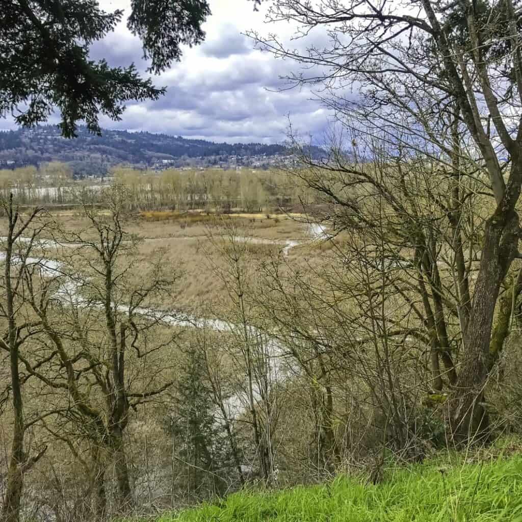 Oaks Bottom Wildlife Refuge | SkyBlue Portland Oaks Bottom Wildlife Refuge