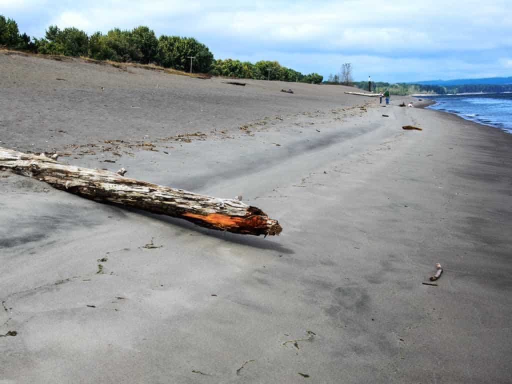 Hauntingly Beautiful Sauvie Island: 10 Reasons We Love It | SkyBlue Portland Sauvie Island Beach in the summer